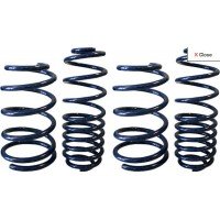 Steeda Sport Lowering Springs. Fits 07-09 GT500