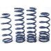 Steeda Superlite Drag Springs. Fits 79-04 Mustang
