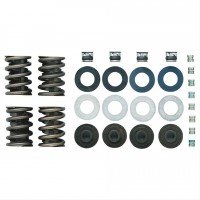 Trick Flow Valve Spring Upgrade for OEM heads, TFS-2500100