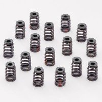 Valvetrain Kit. Fits Ford OEM Iron Cylinder Heads