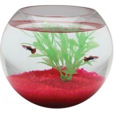 1 1/2 Gal Glass Bowl Sphere