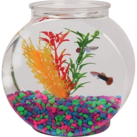 1/2 Gal Flat Sided Fish Bowl 1/2 Gal Flat Sided Fish Bowl