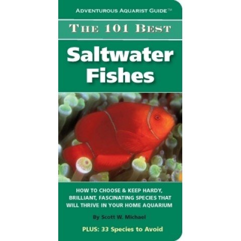 101 Best Saltwater Fishes 101 Best Saltwater Fishes