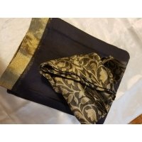 Kashmiri Chinon Plain Zari Border Chitpallu Saree